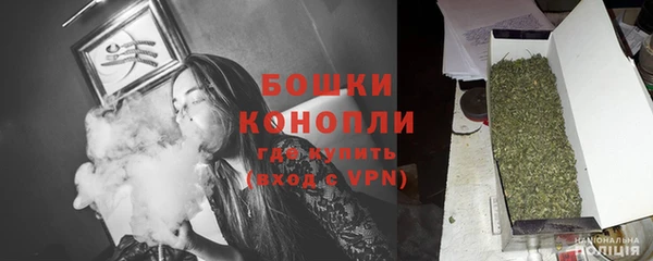 эйфоретик Горняк