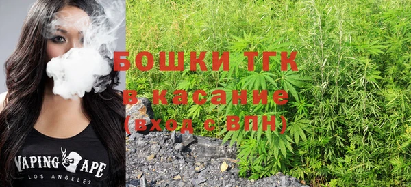 эйфоретик Горняк