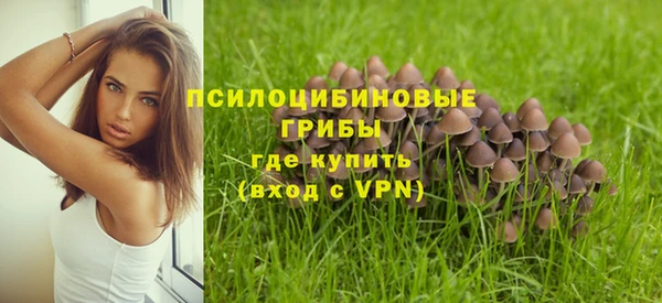 твердый Горно-Алтайск