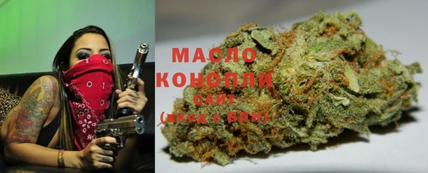 твердый Горно-Алтайск